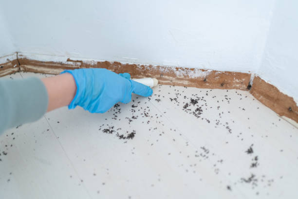 Professional Pest Control in West Middlesex, PA